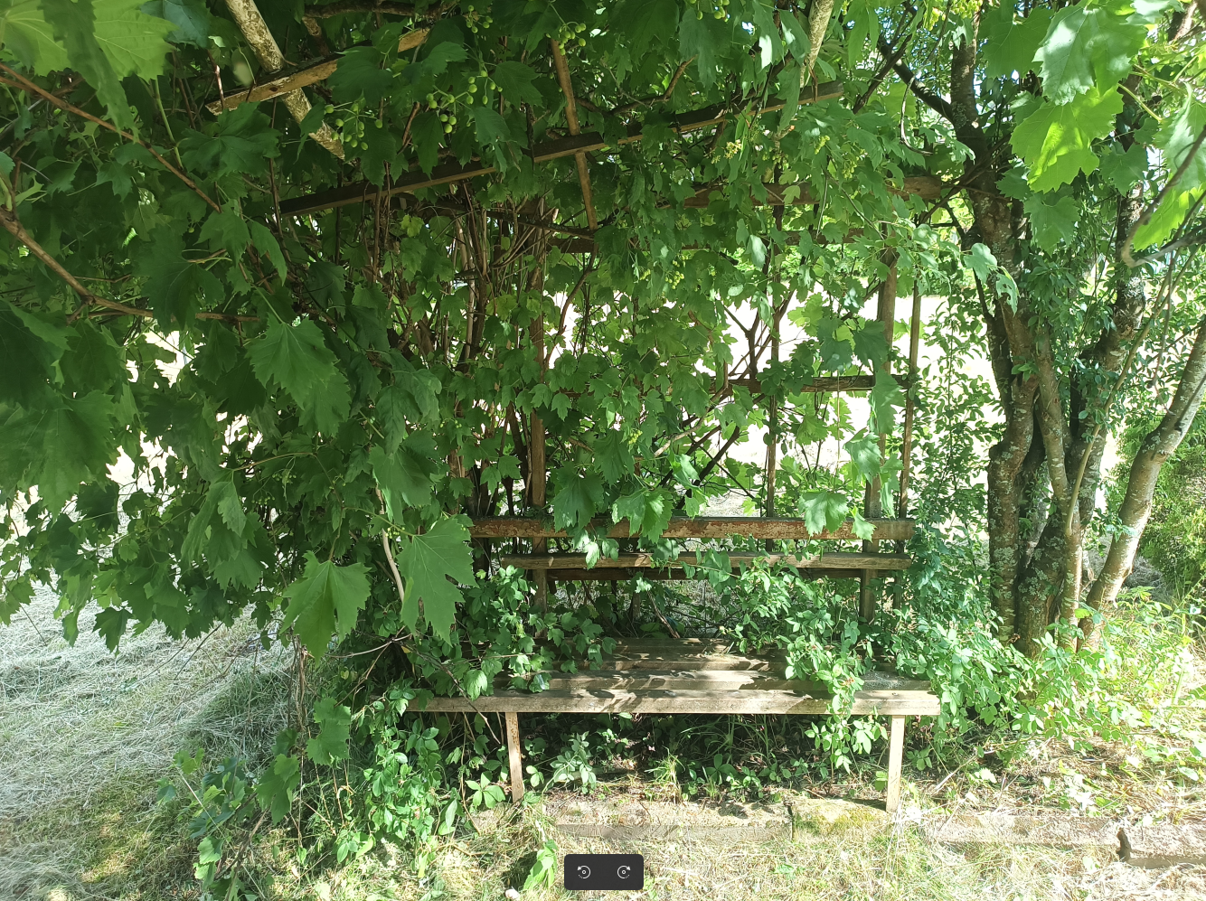 Kavos zona